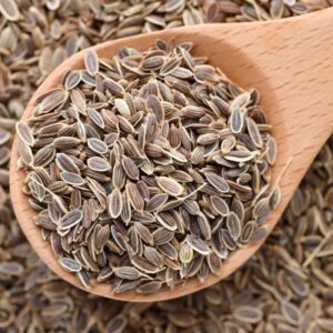 Dill Seeds